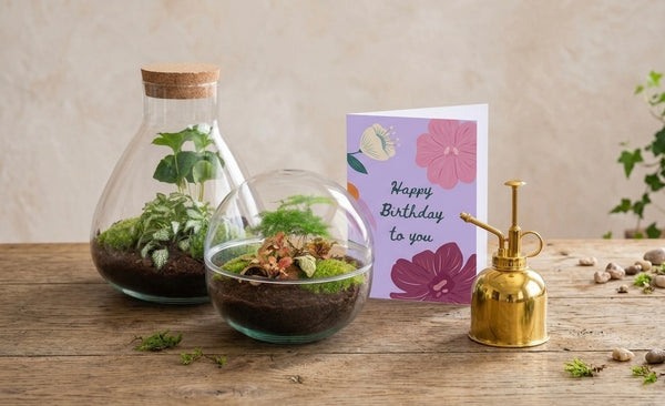 Plantencadeaus