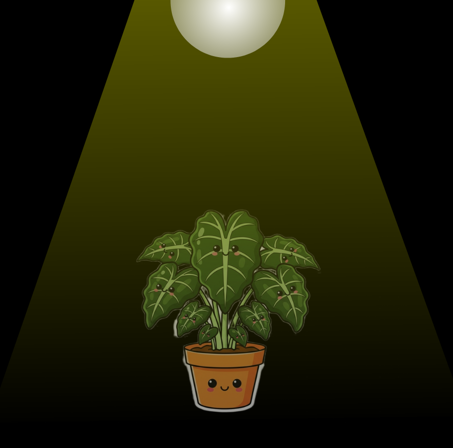 Shaduwplanten