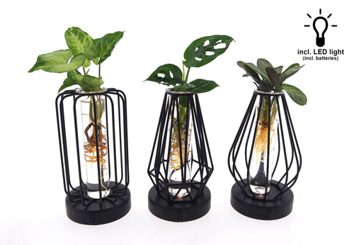 Mix in Turijn Glas + Led - 3 stuks