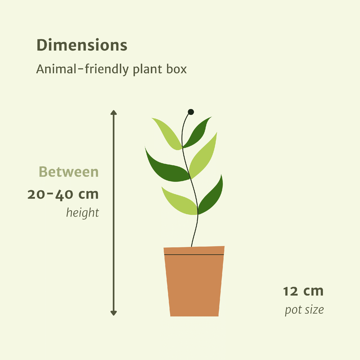Overzicht van de formaten en potmaten van de diervriendelijke plantenbox