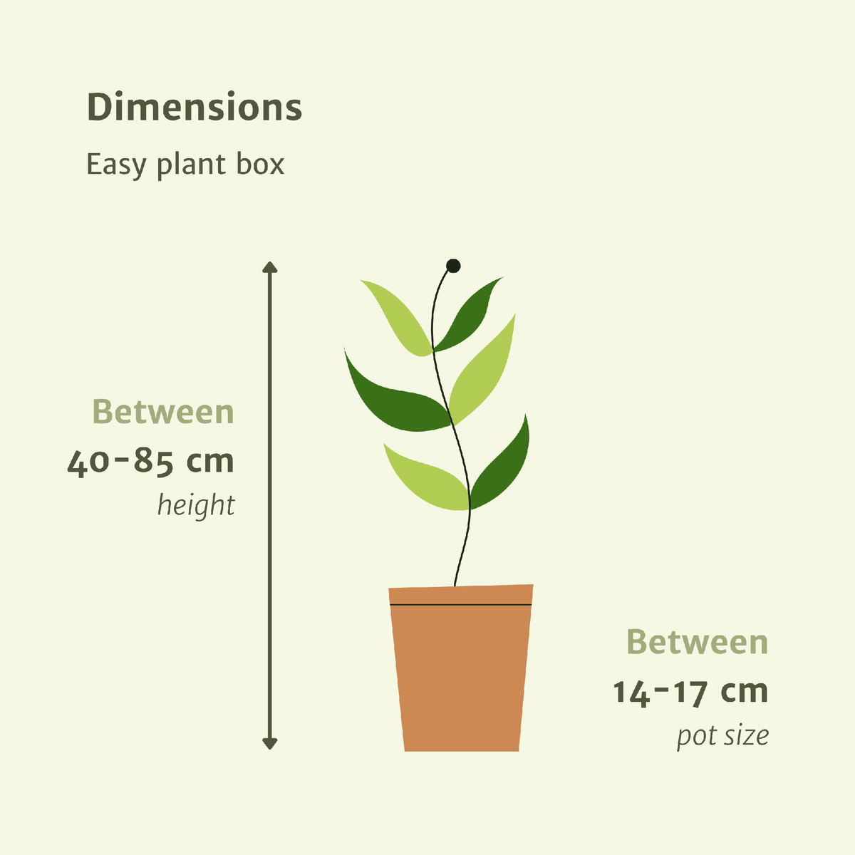Formaten van de kamerplanten uit de makkelijke box: hoogte en potmaat overzicht