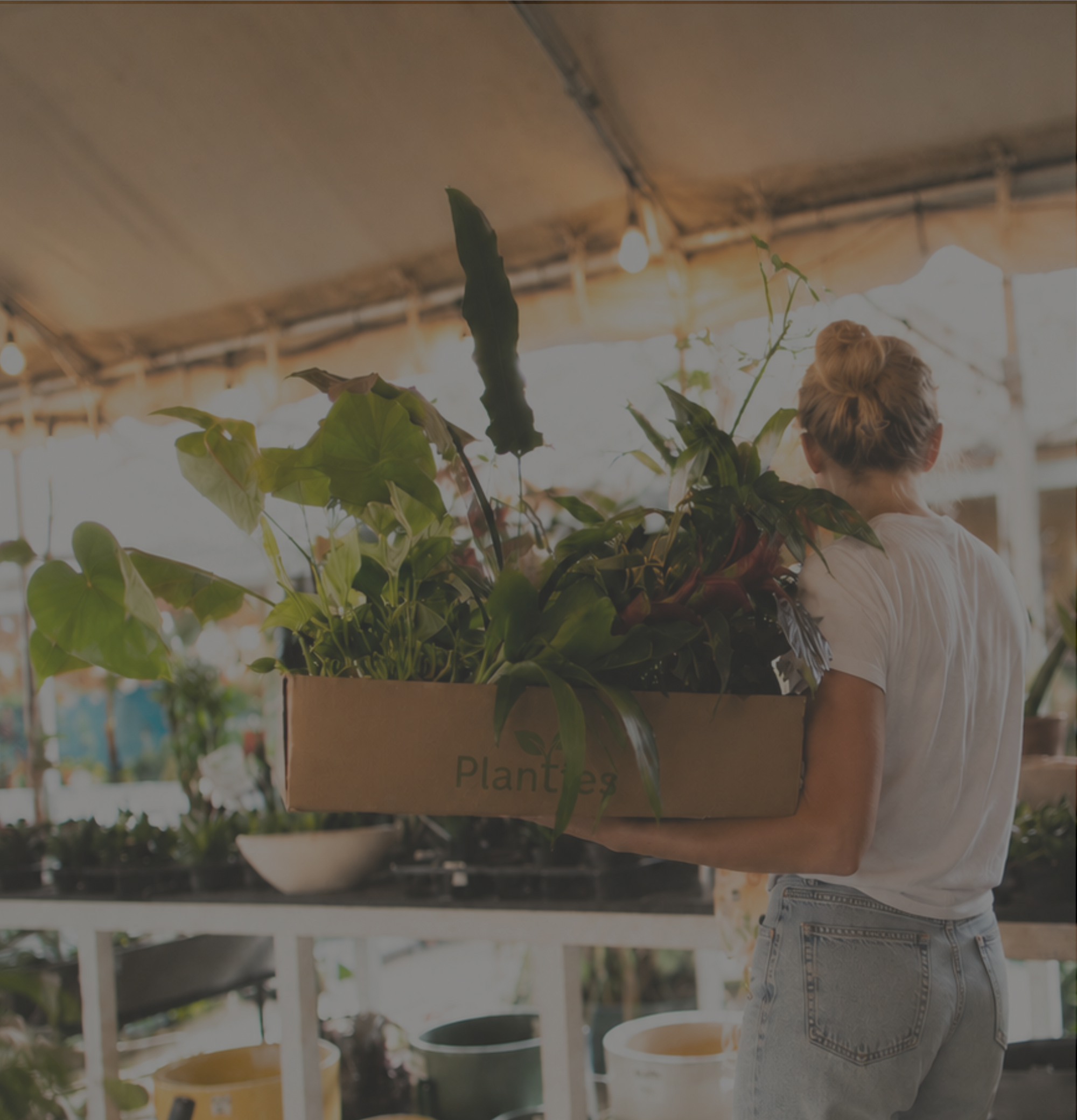 Voordeelset Planten & Pakketten
