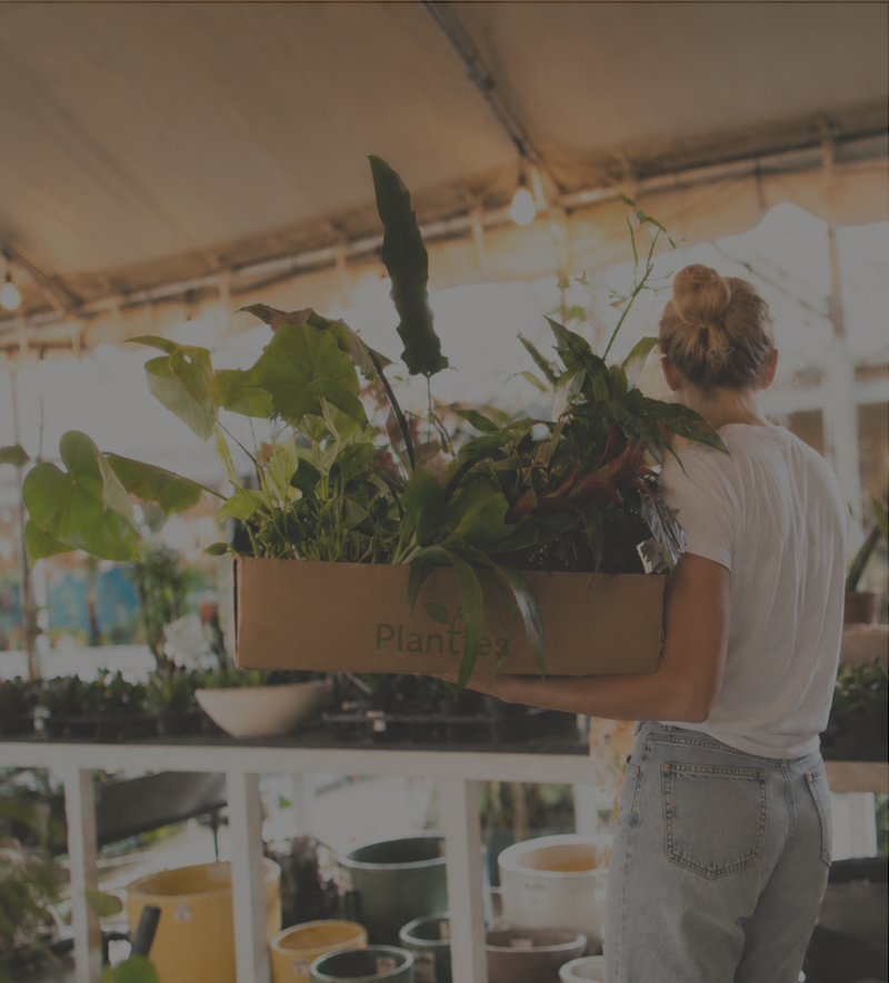 Voordeelset Planten & Pakketten