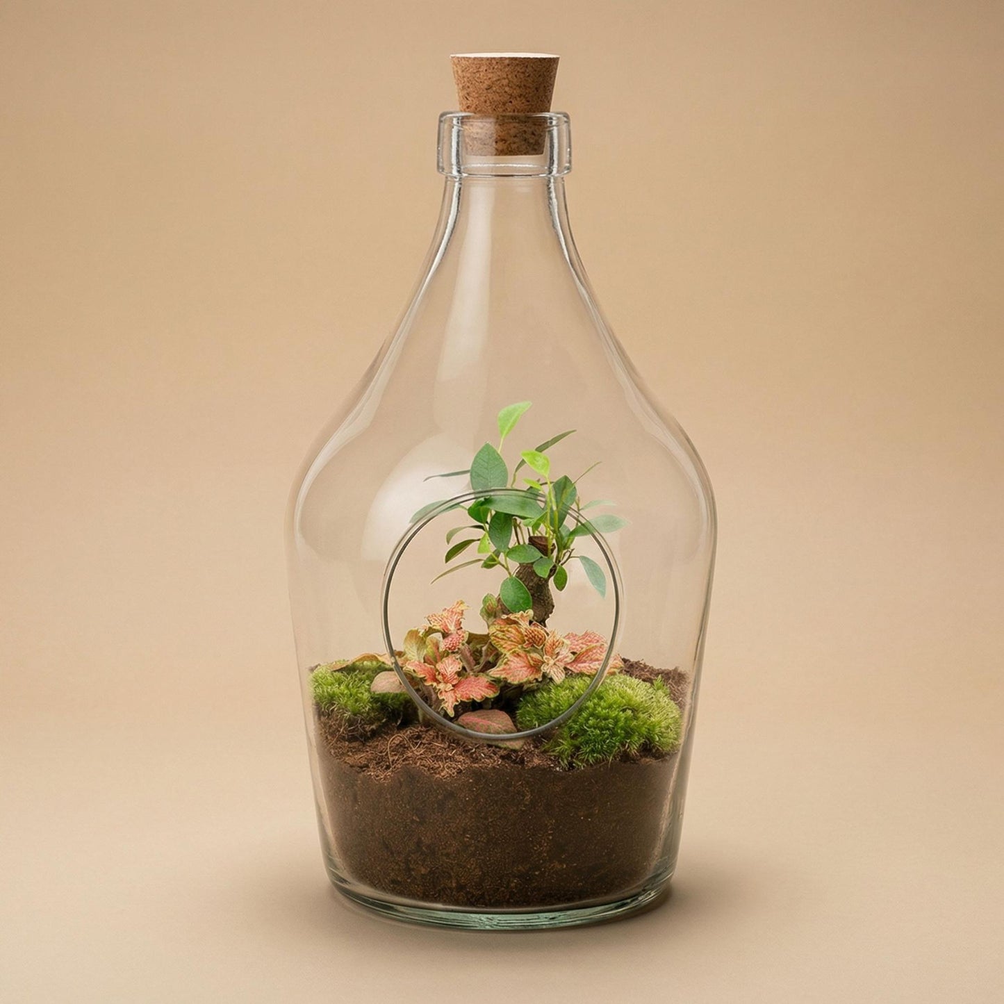 Open terrarium John - Bonsai & Ruby Lime