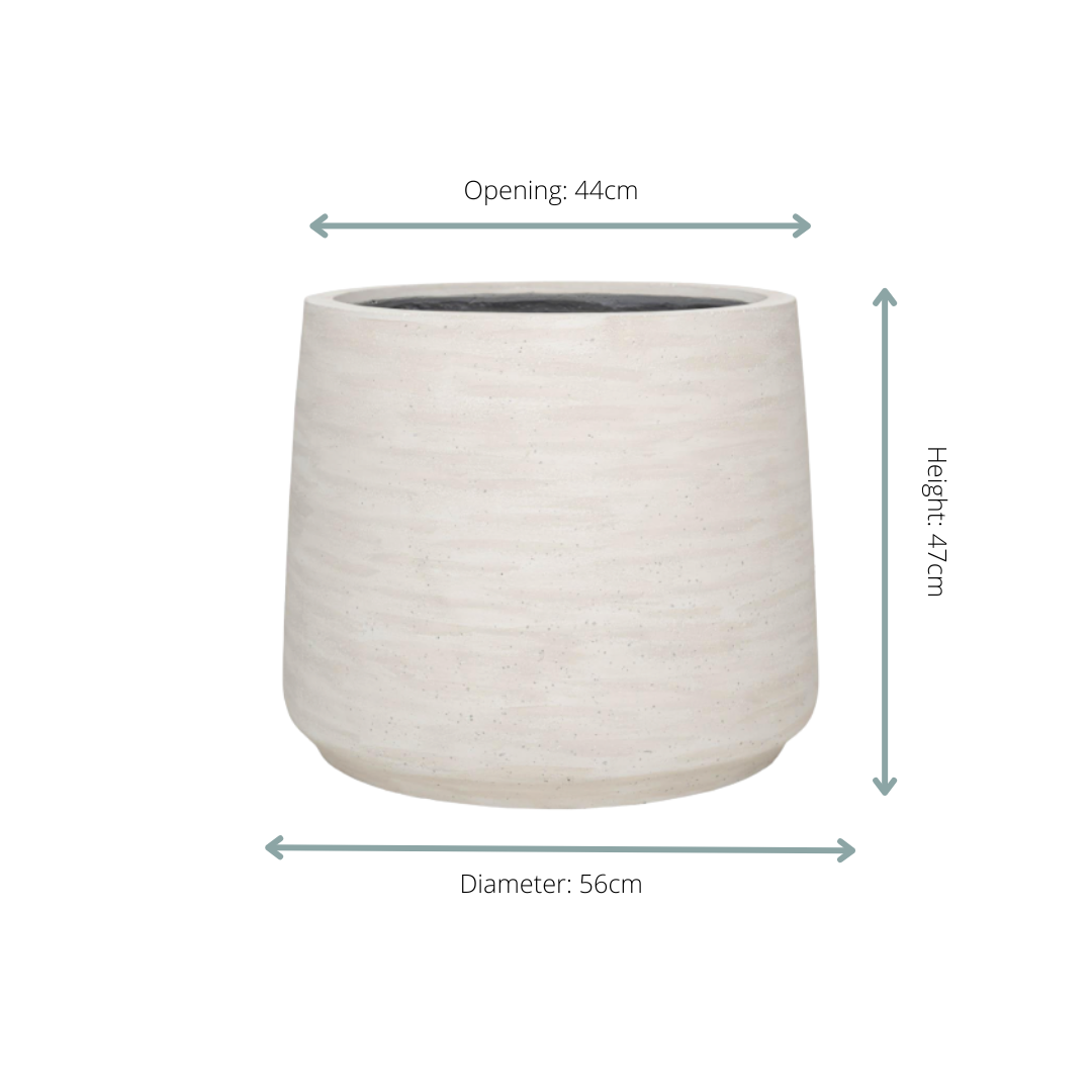 Jumbo Patt Ivory Washed