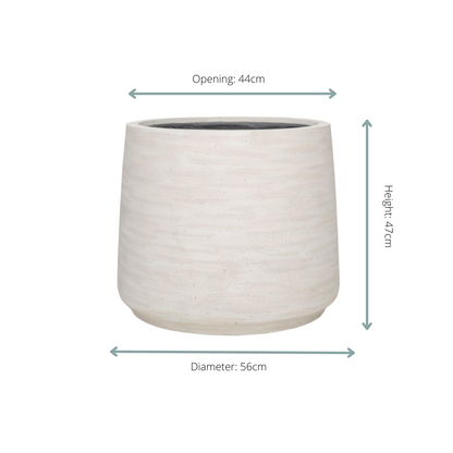 Jumbo Patt Ivory Washed
