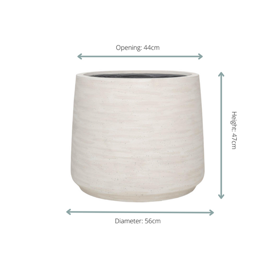 Jumbo Patt Ivory Washed