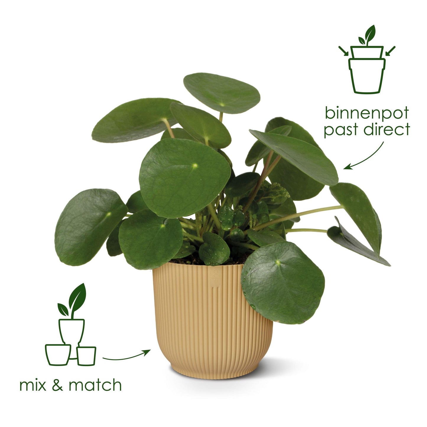 Pot elho Vibes Fold Round groen