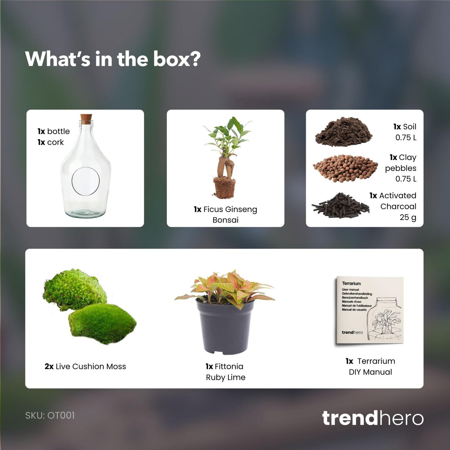 Open terrarium John - Bonsai & Ruby Lime