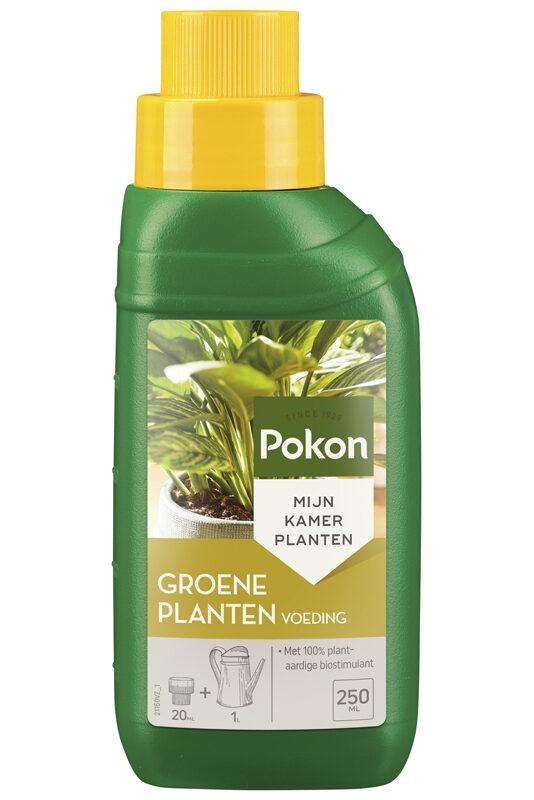 Grünpflanzennahrung - 250 ml