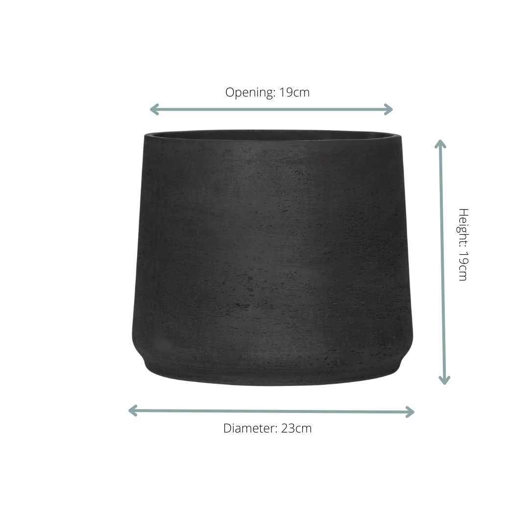 Jumbo Patt Black Washed