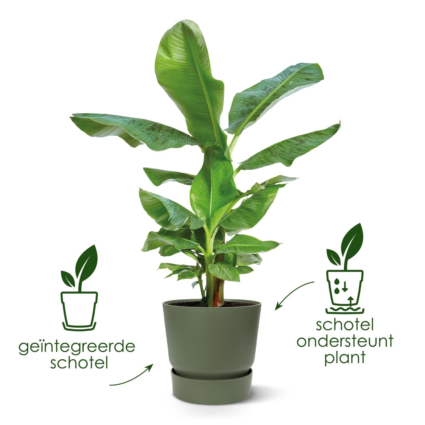 Pot elho Greenville Round groen