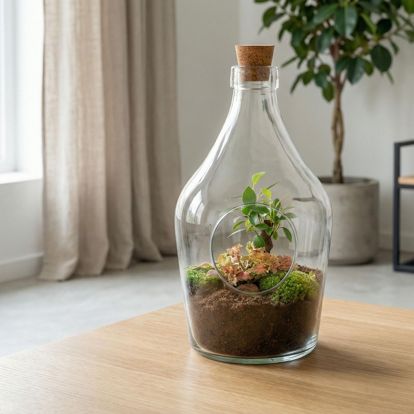 Open terrarium John - Bonsai & Ruby Lime